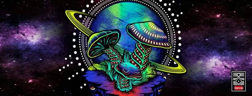 230 Especies, al menos 50 en México 🍄🍄🍀🌨️☔🌩️🌎