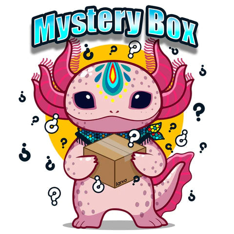 Mystery Box